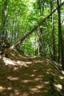 Resize of 11 - Bukovec.jpg