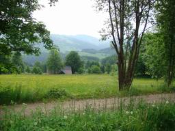 Resize of DSC01839.JPG