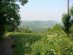 Resize of DSC01850.JPG