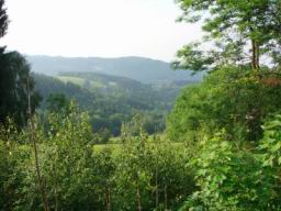 Resize of DSC01858.JPG