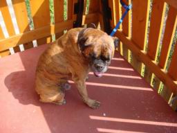 Resize of DSC01868.JPG