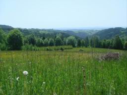 Resize of DSC05267.JPG