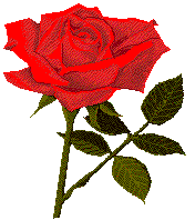 rose3rt.gif (6648 bytes)